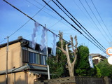 DSCF0825
