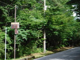 DSCF0876