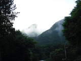 DSCF0828