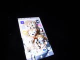 DSCF1214