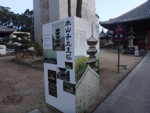 P1180245