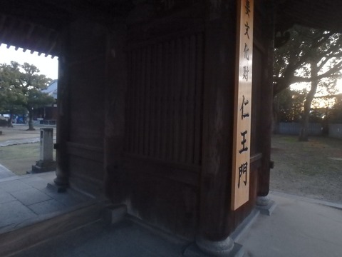 P1180242
