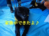 さにー