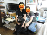 BlogPaint