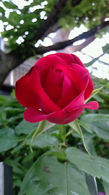 07e6e776.jpg