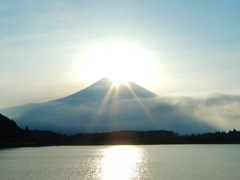 03de39c4b486ed3b1d13ba403b2b79b6_s