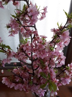 20180310_120637