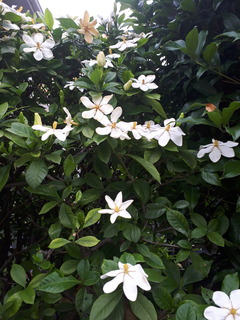 20180531_125808