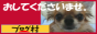 ブログランキング