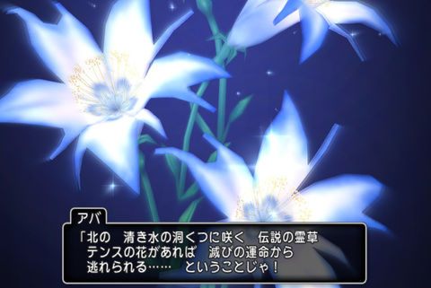 テンスの花