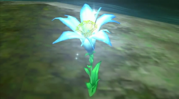 テンスの花