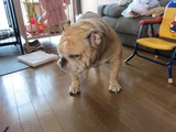 02���ޥޥ󡢤��Τ͡�