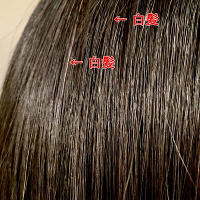ヘアカラートリートメント ヌーボー 1回目染まり具合