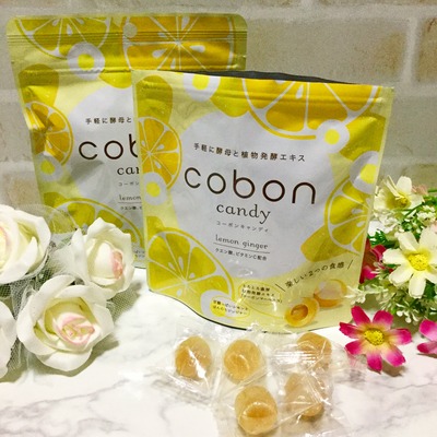 天然酵母飲料コーボンcobon (8)
