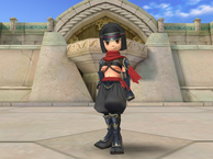 ninjya