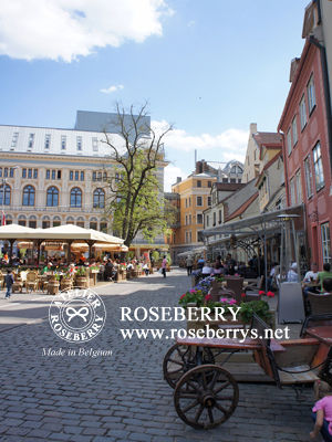 latvia8