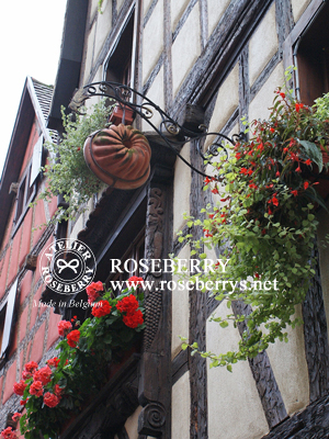 alsace12