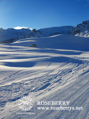 ski149