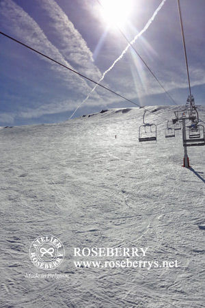 ski30