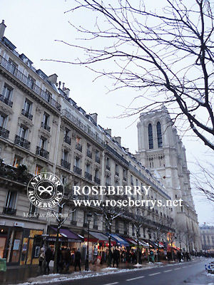 paris81