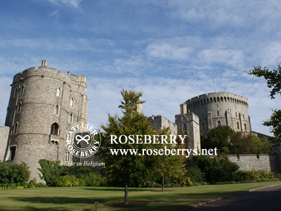 Windsor城