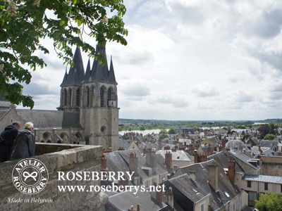 france29