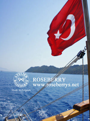 turkey27