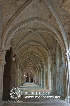 reims4