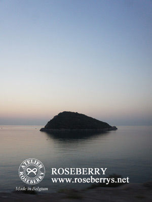 turkey14