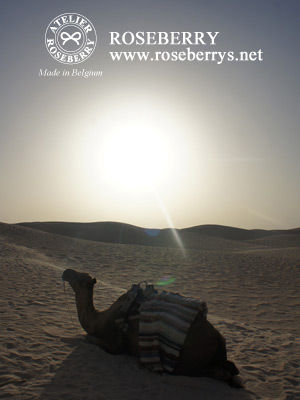 tunisie27