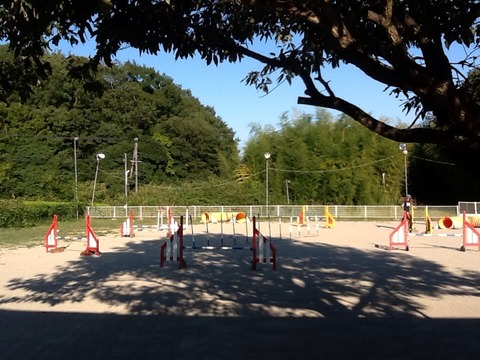画像1