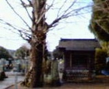 7b7436cc.jpg