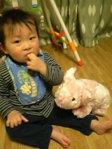 pig