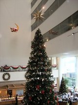 �ҥ�ȥ�����٥��ϡ����ꥹ�ޥ��쿧��02
