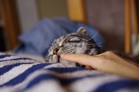 IMGP3255