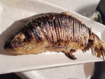 P9022644