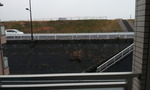 20120120_125507