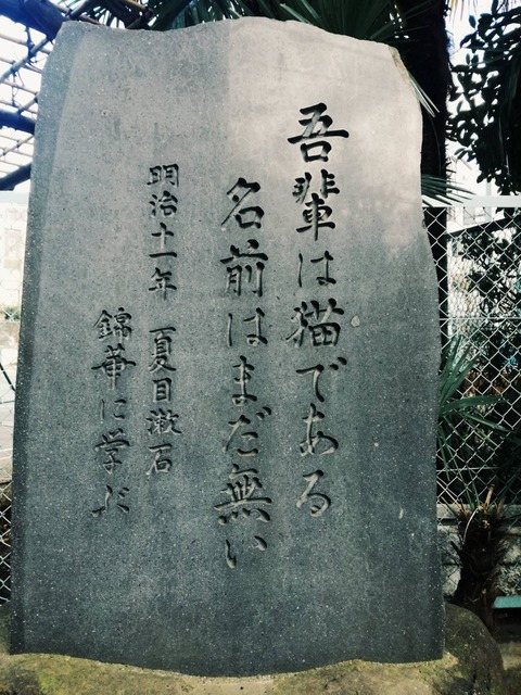 1548400792771