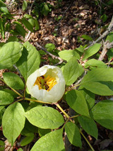 resize0603