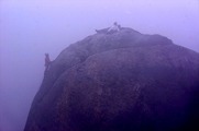 DSC07585