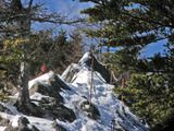 P2100008_edited