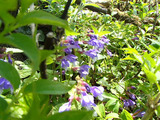 resize0636