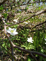 resize0609