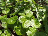 resize0625