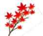 fig03