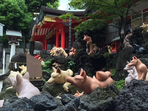 20150827shiba2