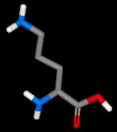 ornithine