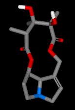 monocrotaline