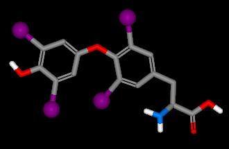 thyroxin