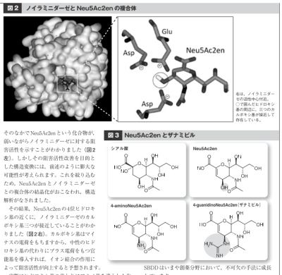 薬 薬学部 薬剤師 物理 化学 生化学 有機 ソロモン 書籍検索